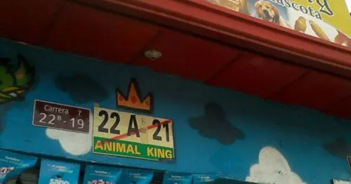 ANIMAL KING ANIMAL KING